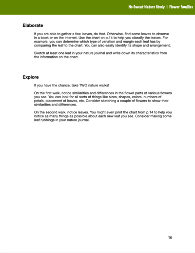 Flower Families Curriculum