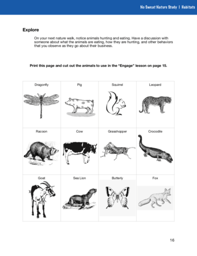 No Sweat Nature Study Habitats Curriculum