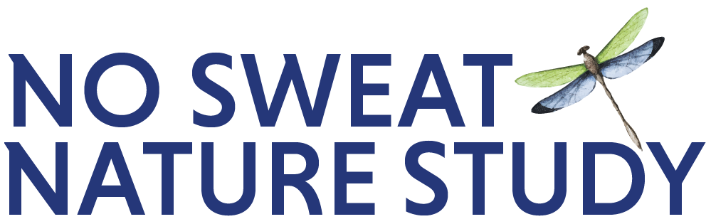 No Sweat Nature Study logo