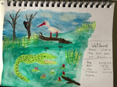 painting of a pond habitat