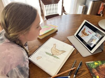 child learning about science and drawing in his nature journal