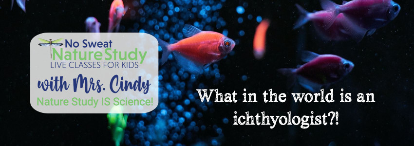 Orange and pink fish swimming in dark water. This image is for an advertisement for a class about Eugenie Clark, an ichthyologist.