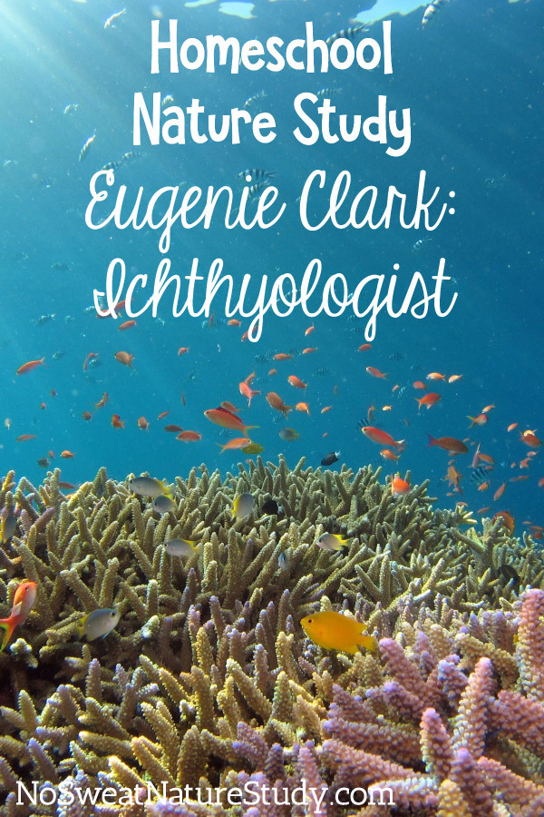 Small orange fish swim above a pink and yellow coral reef. Image is for a podcast about Eugenie Clark, an ichthyologist.