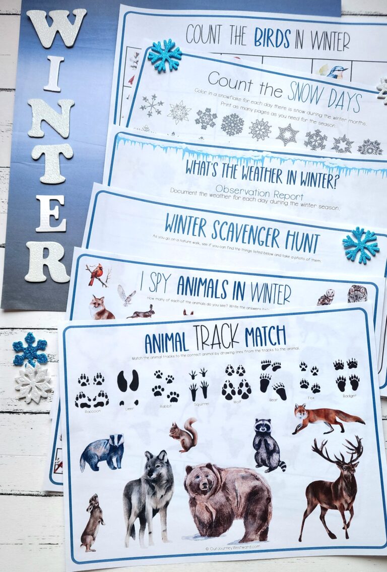 6 Fun Activities: Free Winter Nature Study Printable Packet