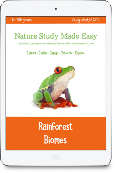 iPad with orange trim and a bright green and orange tree frog in the middle. For a nature study curriculum about rainforest biomes.
