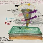 student nature journal page