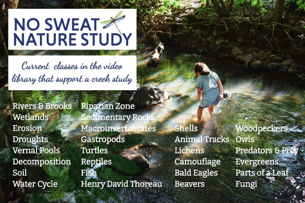 young girl walking in creek with text overlay