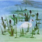 student nature journal page