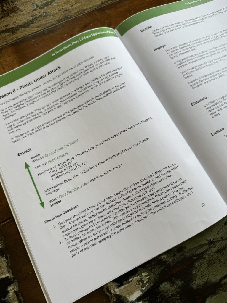 Open-lay of science curriculum