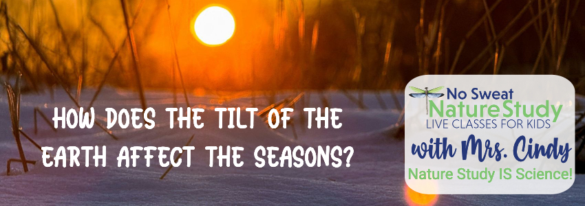 Sunset over snow with text as an advertisement for a video class about the shortest day of the year