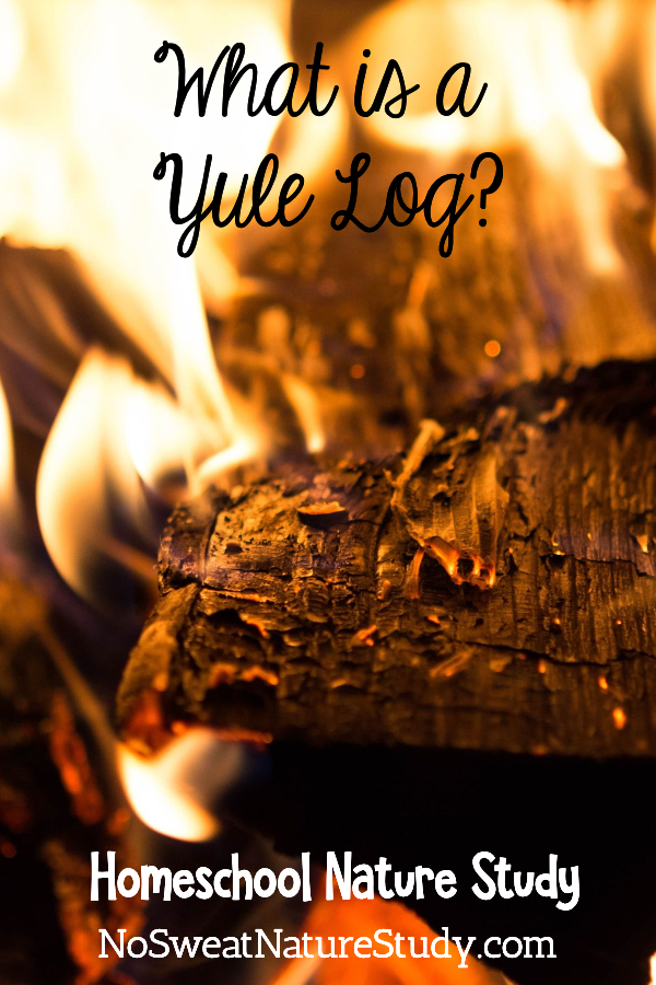 Log burning in yellow flames