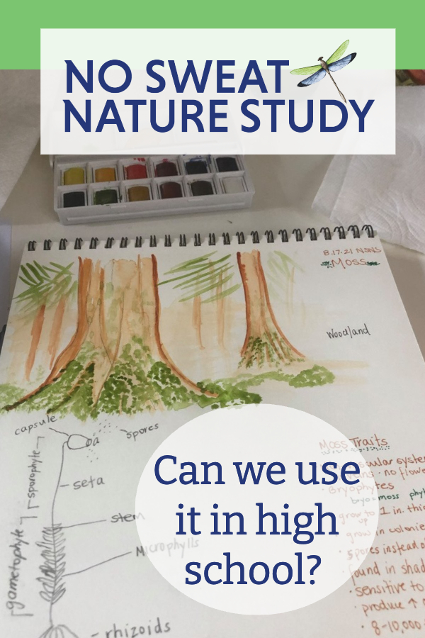 nature journal page of trees painted in watercolors