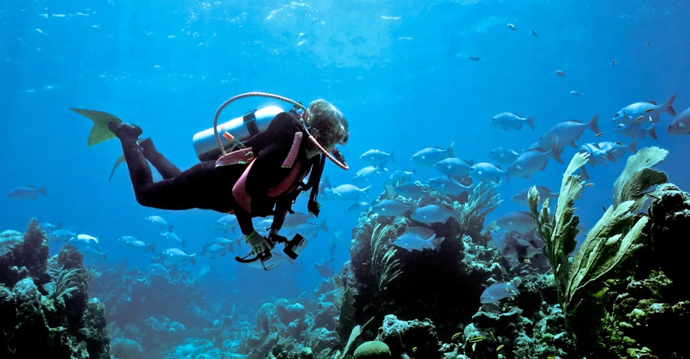 scuba diver in the ocean with small fish