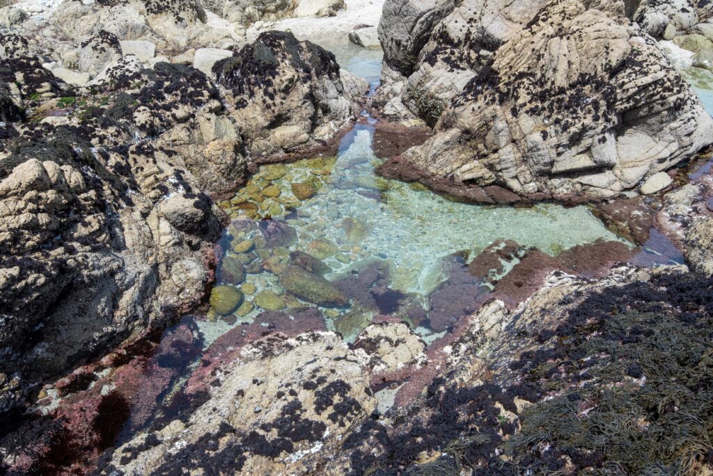 ocean water in tide pool between rocks on the beach