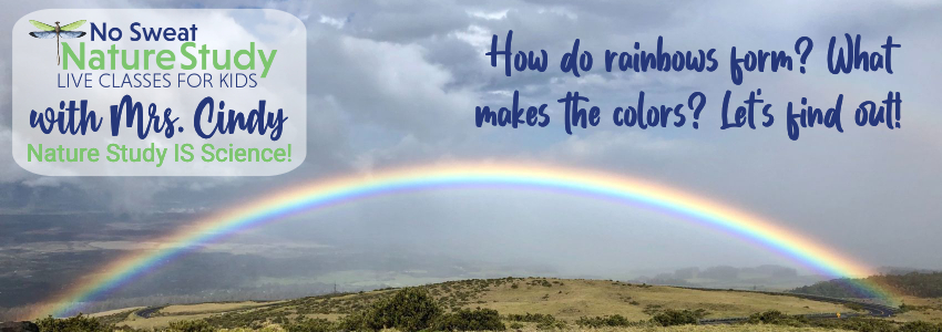 Rainbow with mist in the background. Advertisement for a class about rainbows.