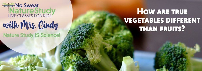 Broccoli and carrots on an advertisement for a class about true vegetables