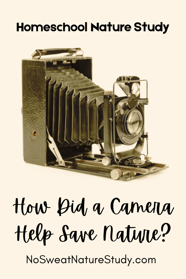 an old sepia-toned picture of an early camera with the text overlay "How Did a Camera Help Save Nature?"