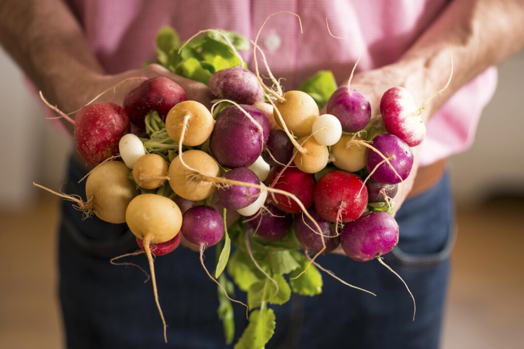 man in pink shirt holding a bunch of multi-colored radish plants