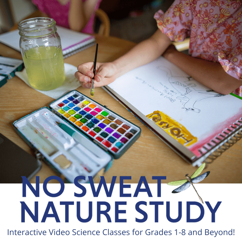 girl painting in her nature journal