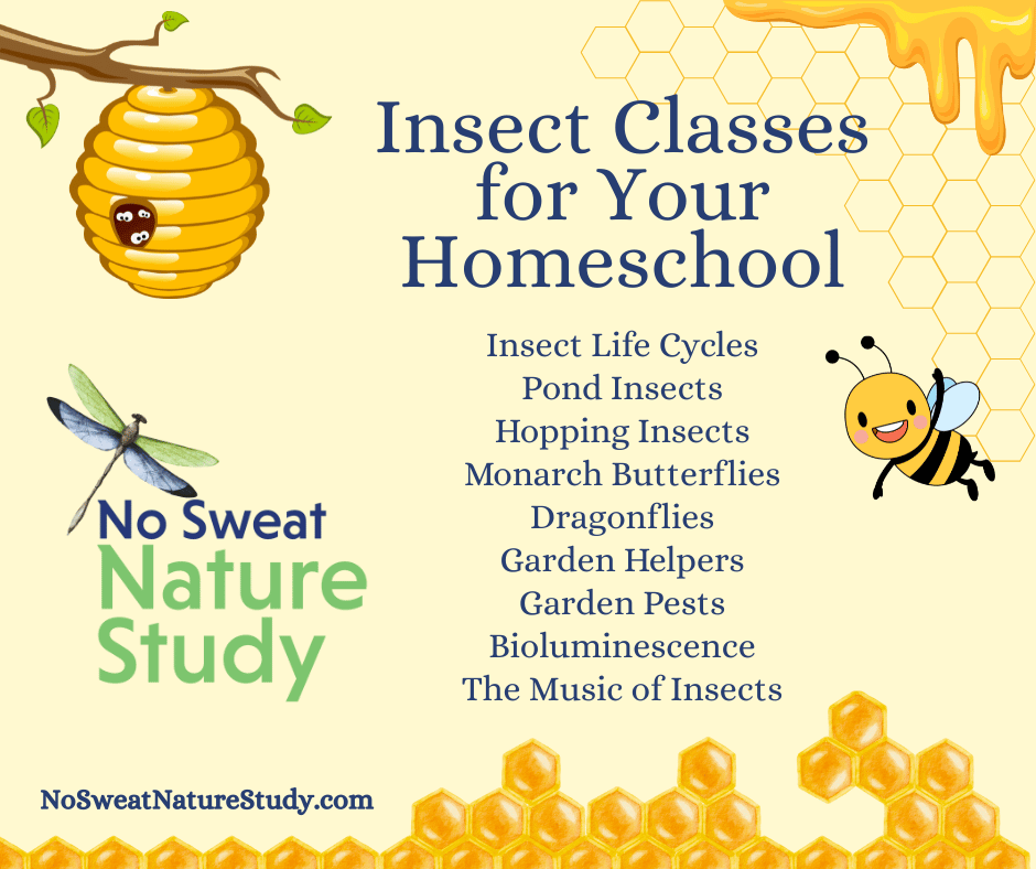 bee, honey, and hive illustration in shades of yellow