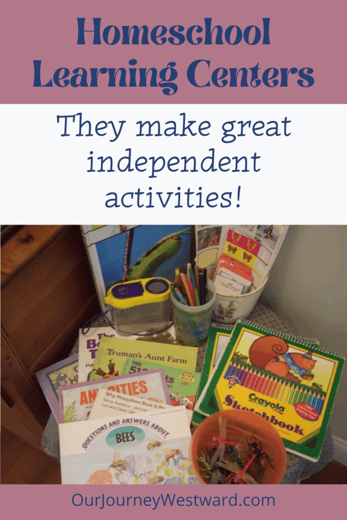 insect books and toys 