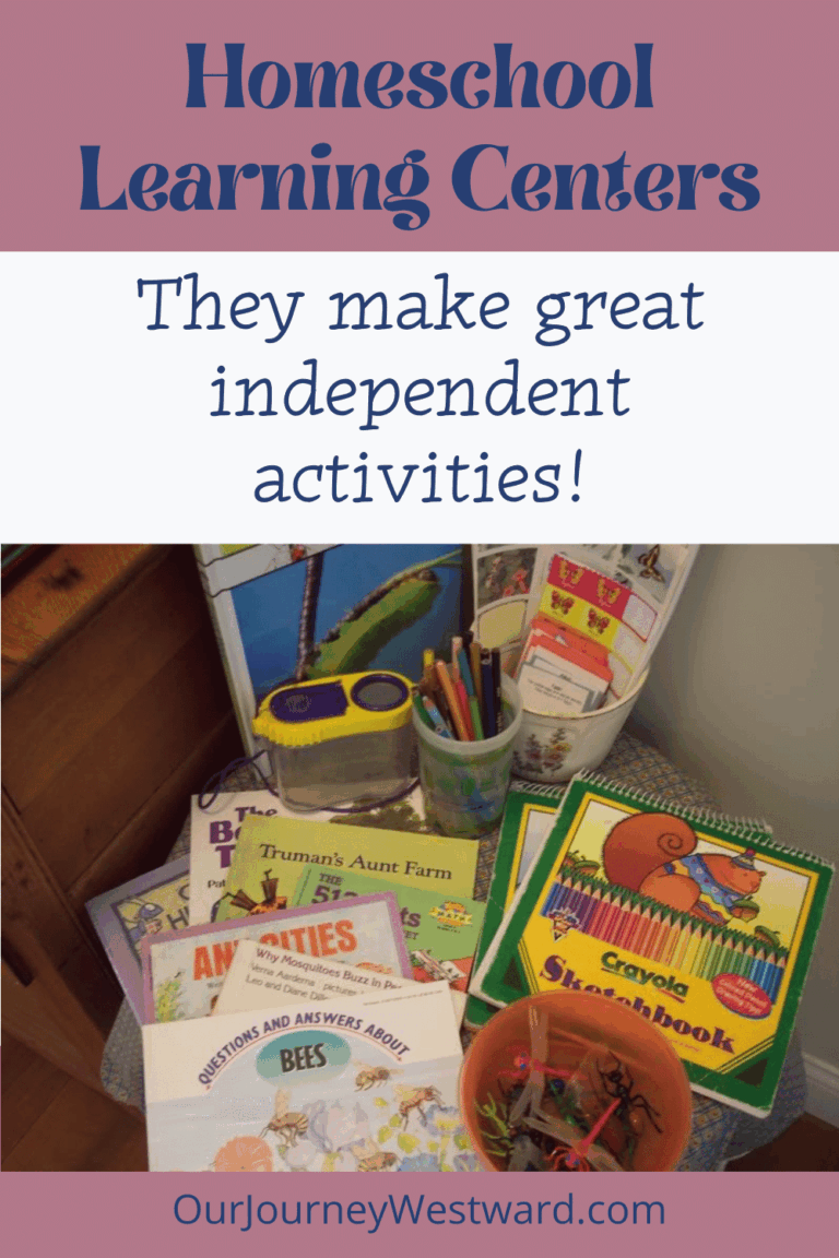 insect books and toys