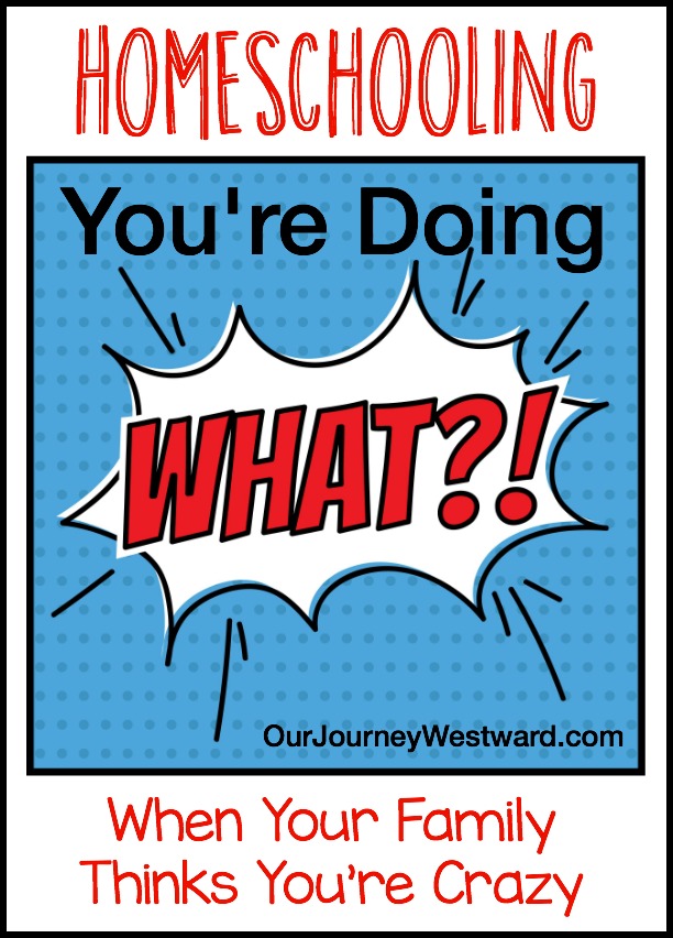 Image for a blog post about Homeschooling and what to do when your family thinks you are crazy.