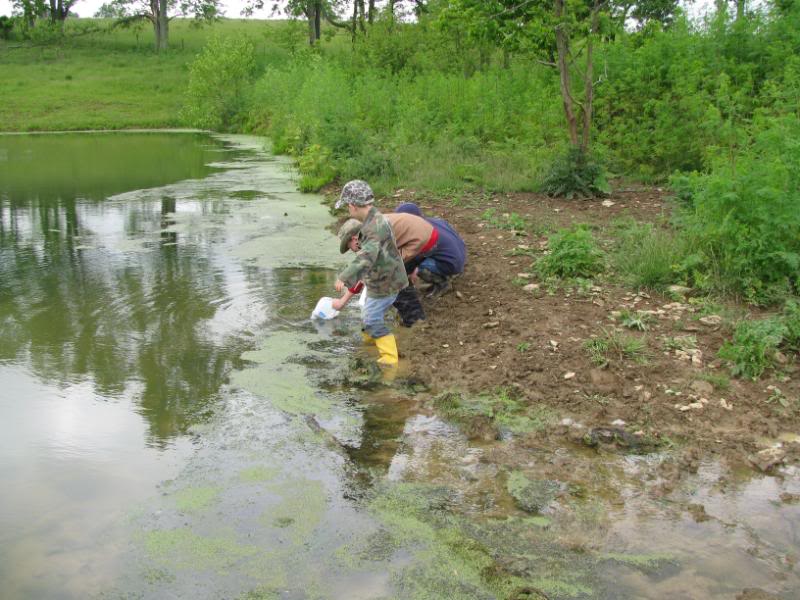 Pond nature study is extra fun when experienced with a nature club!