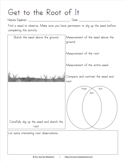 Nature notebooking sheet