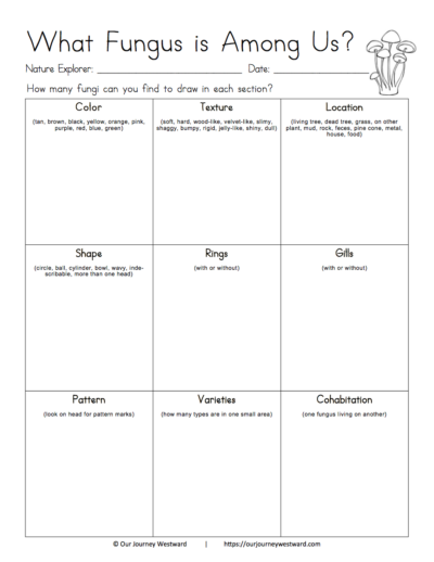 Nature notebooking sheet