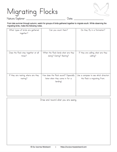 Nature notebooking sheet