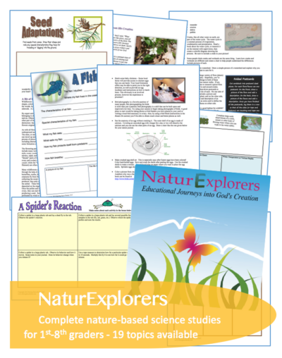 NaturExplorers curriculum cover with example pages laid out.